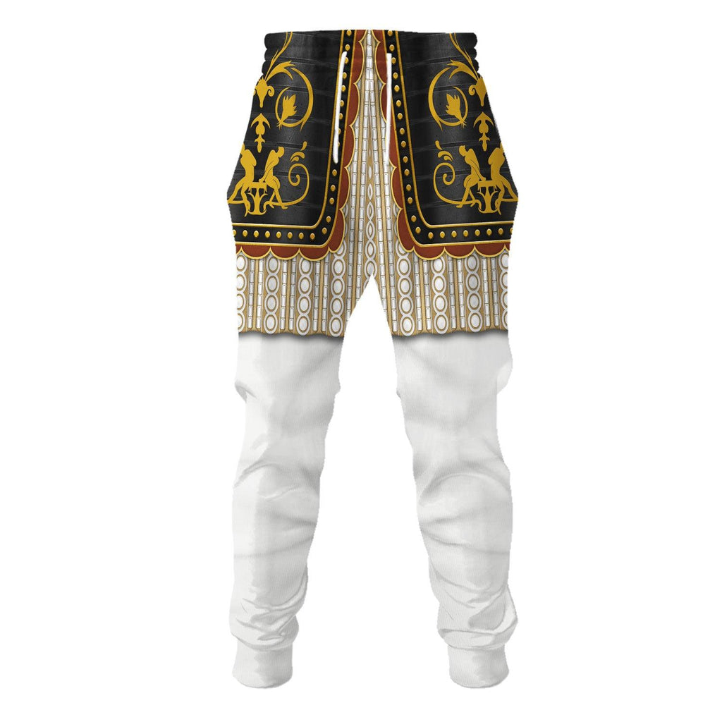 CustomsPig Henry IV De Bourbon Coronation Robes Costume All Over Print Hoodie Sweatshirt T-Shirt Tracksuit - CustomsPig.com